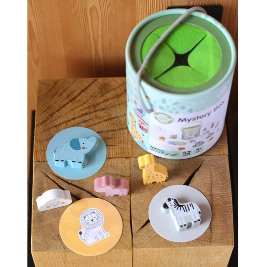 Mystery Box Touch and Match